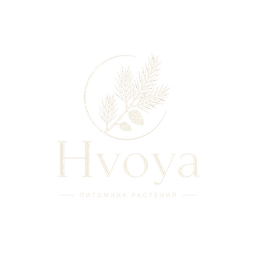 Логотип питомника «Хвоя»